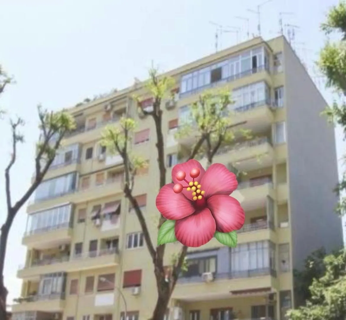 Egohouse Appartamento 4 Posti Vicino Al Centro Di Roma Italia